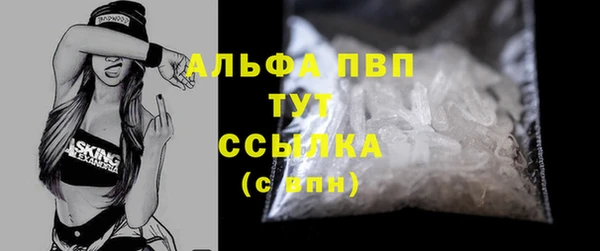 PSILOCYBIN Волосово