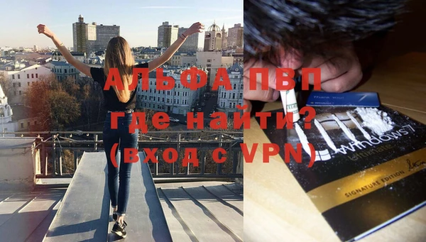стафф Волоколамск