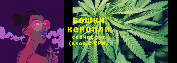 стафф Волоколамск