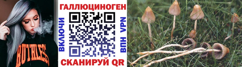 купить наркоту  Верхотурье  Галлюциногенные грибы мухоморы 